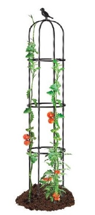 Rose & flower supports